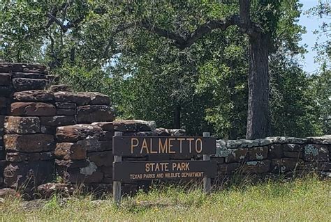 Hiking Palmetto State Park - 4 Seasons of Winter