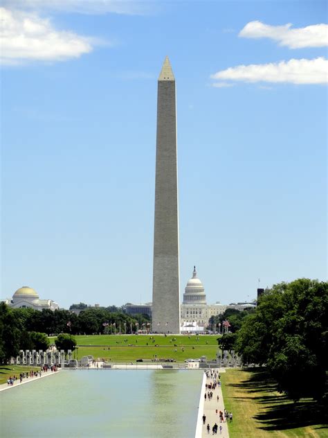 danger garden: Memorials, Museums & Monuments on the National Mall