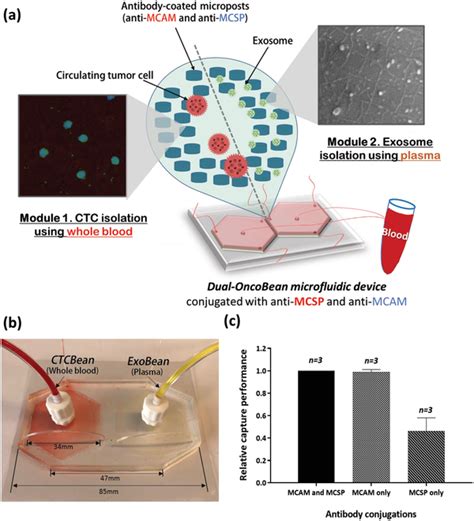 Dual-isolation of circulating tumor cells (CTCs) and cancer exosomes... | Download Scientific ...