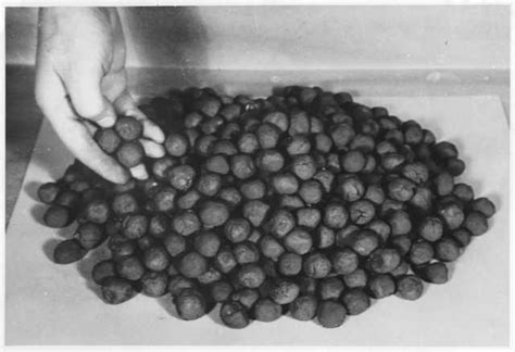 Taconite Pellets | MNopedia