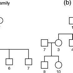 Nuclear Family Chart