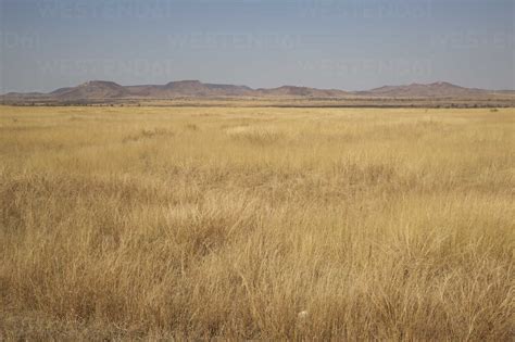 Africa, Madagascar, Grass savanna near Isalo mountains stock photo