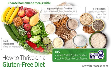 How to Thrive on a Gluten-Free Diet | HerbaZest