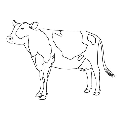 Cow Line Drawing Images - Free Download on Freepik