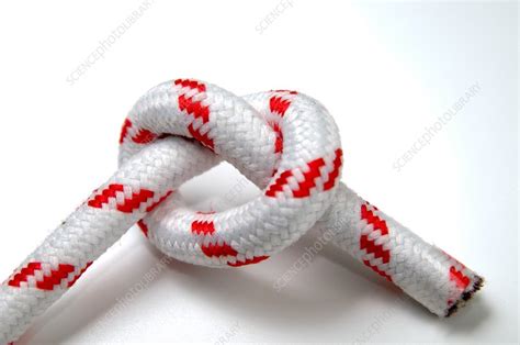 Overhand Knot - Stock Image - F018/3795 - Science Photo Library