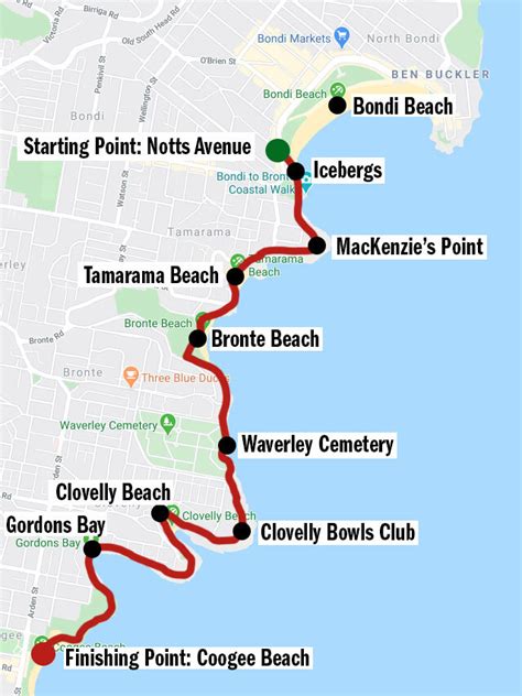 Bondi to Coogee Walk insider tips for the trail — Walk My World