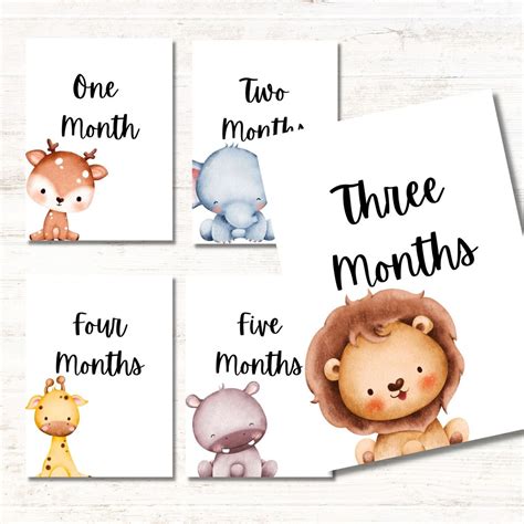 Baby Milestone Cards Printable Digital Download Babyshower Gift DIY Monthly Milestone Instant ...