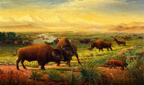 Buffalo Herd Painting at PaintingValley.com | Explore collection of ...