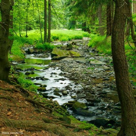 Montana Campylobacter Outbreak Linked to Kennedy Creek Water