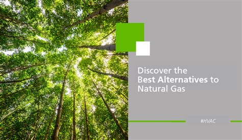 ↠ Discover the best alternatives to natural gas » October | Ecoforest