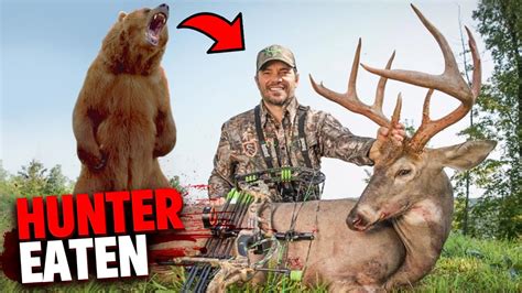 This Grizzly Bear Eats Deer Hunter Alive! (Animals Gone WRONG) - YouTube