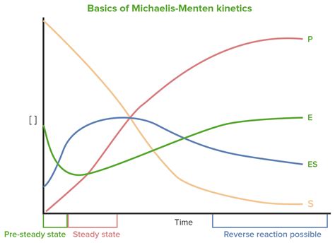 Enzyme Kinetics | Concise Medical Knowledge