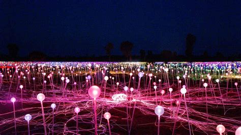 A Night at Field of Light - Concrete Playground