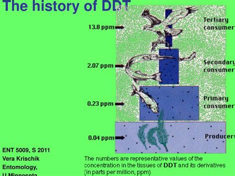 PPT - The history of DDT PowerPoint Presentation, free download - ID:476299