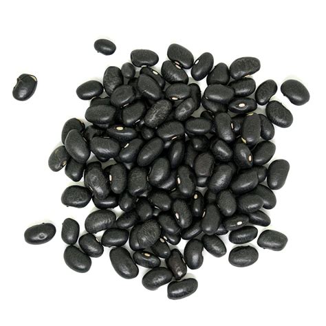 Organic Black Turtle Beans – Westpoint Naturals