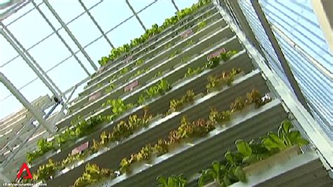 Sky Green Singapore – the World’s First Commercial Vertical Farm ...