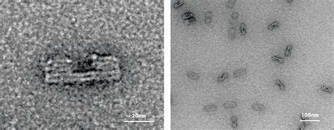 Synthetic molecular machines with DNA origami - Microscopy Australia