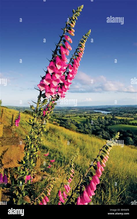 Staffordshire Moorlands, Peak District Stock Photo - Alamy