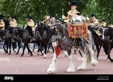 Mounted band of the Household Cavalry at Trooping the Color Mercury ...