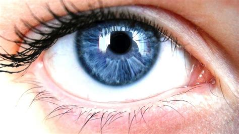 Possible Link Between Eye Color and Alcoholism Risk Revealed in New Study - ABC News