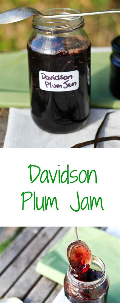 Davidson Plum Jam Recipe - Strayed from the Table