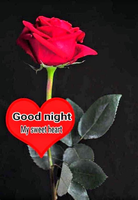 Good Night My Sweetheart - Desi Comments