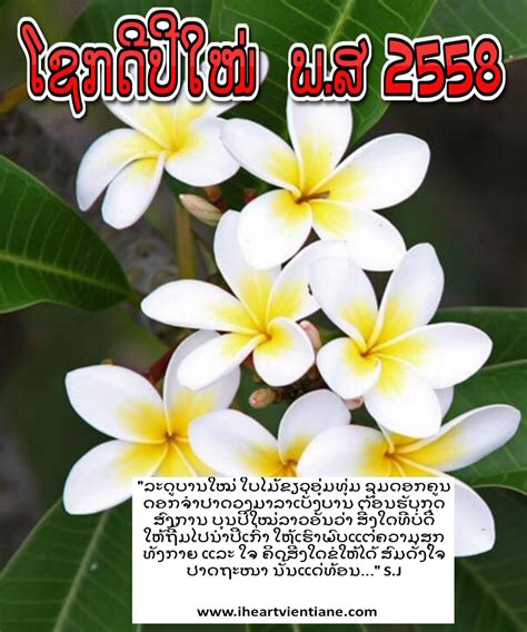 Happy Lao New Year 2015 ໂຊກດີປີໃໝ່ ພ .ສ 2558 | Lao new year, Laos, Happy