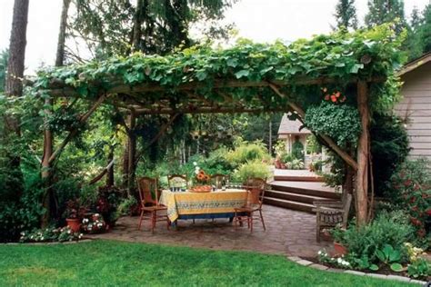 15 Stunning Grapevine Trellis Designs for Your Backyard Arbor - EatHappyProject