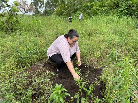 Planting a tree – Uganda Jungle Lodges