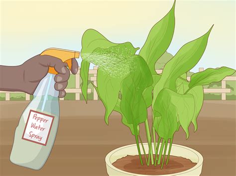 4 Simple Ways to Protect Plants - wikiHow