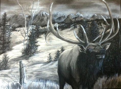 Items similar to bull elk "Bugle Call" charcoal drawing by Montana ...