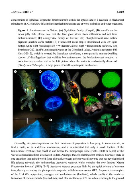 SOLUTION: Fluorescent probes and fluorescence microscopy techniques ...