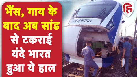 Vande Bharat Express Accident: Gujarat में फिर मवेशी से टकराई वंदे भारत ...