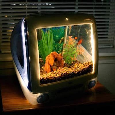 Amazing 2013: 10 Cool and Crazy Fish Tanks