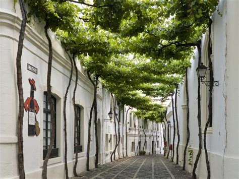 Hotel Bodega Tío Pepe, el primer Sherry Hotel del mundo | Gonzalez Byass - Corporativa