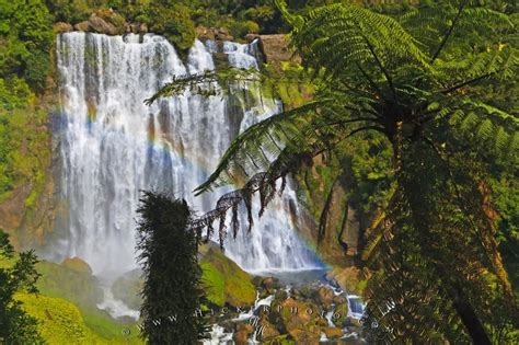 Photo of Marokopa Falls, in the Waikato region, an area in the North ...