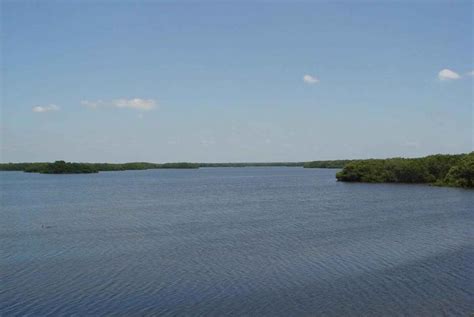 Free picture: calm, water, lake, wetland area