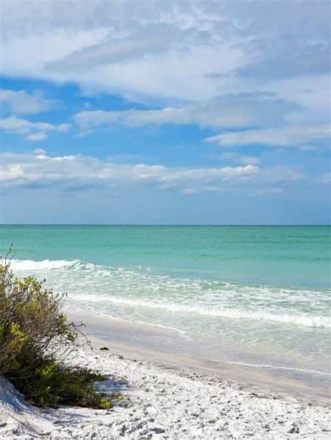 Relax and Unwind at Sand Key Park in Clearwater, FL - Daily Life Travels