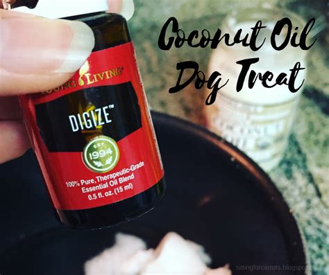 Easy Coconut Oil Dog Treats - My Pets