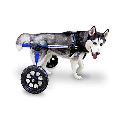 I Tested the Walkin Wheels Dog Wheelchair: Here's Why It's a Game-Changer for Our Pup!