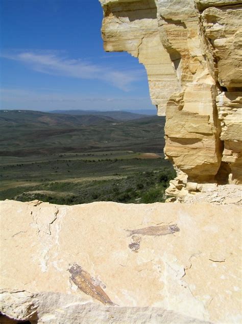 Fossil Butte | Intermountain Histories