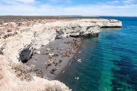 Whale Watching in Peninsula Valdes, Argentina - SouthAmerica.travel