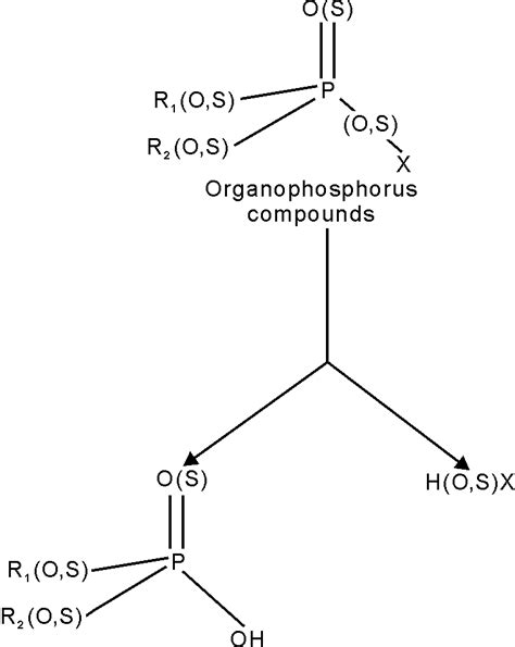 General formula of organophosphate pesticides and their... | Download ...