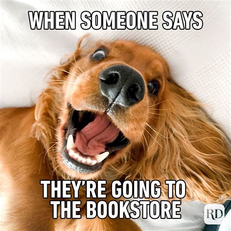 25 Funniest Book Memes That Book Lovers Will Understand All Too Well