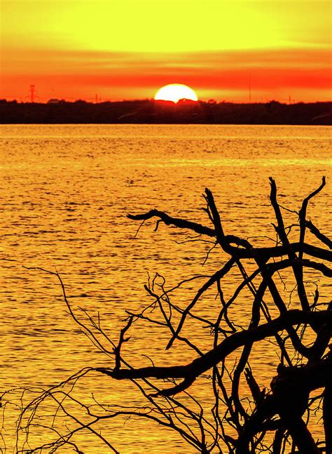 Cedar Hill State Park in Dallas, TX sunset Photograph by David Ilzhoefer - Fine Art America