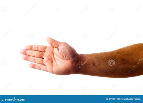 Adult Male Hand Showing Flat Hand Gesture Isolated on White Stock Photo - Image of offer ...