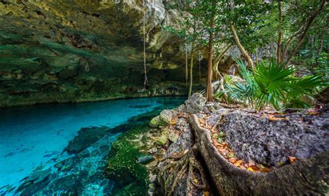 Cenote Dos Ojos, Tulum | Qué hacer, cómo llegar, precio [Guía completa]