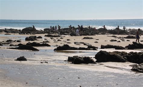 Salt Creek Beach, Dana Point, CA - California Beaches