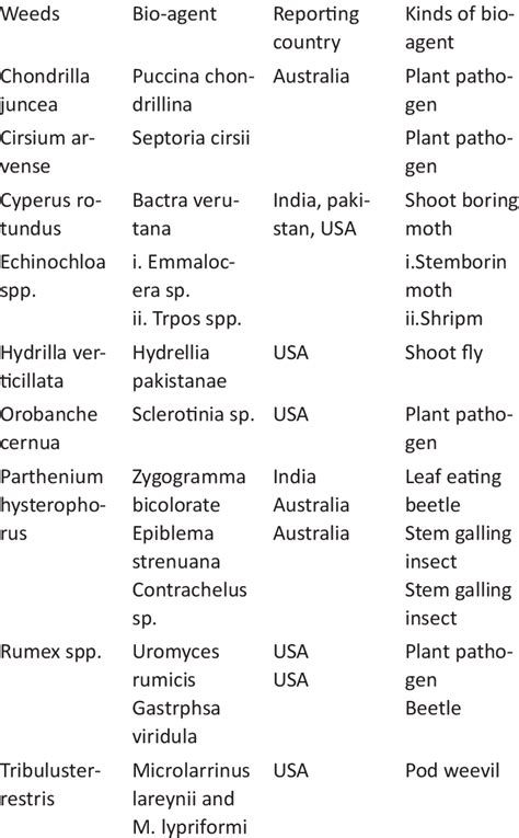 Biological Pest Control Examples | Pest Control