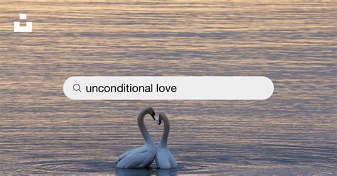 50,000+ Unconditional Love Pictures | Download Free Images on Unsplash